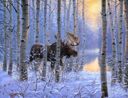Сочинения на тему «Зимний лес