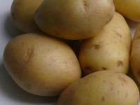 Varietas kentang - deskripsi, karakteristik, wilayah tumbuh