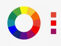 مزيج الألوان في الملابس: نظرية وأمثلة كيفية اختيار نظام الألوان المناسب